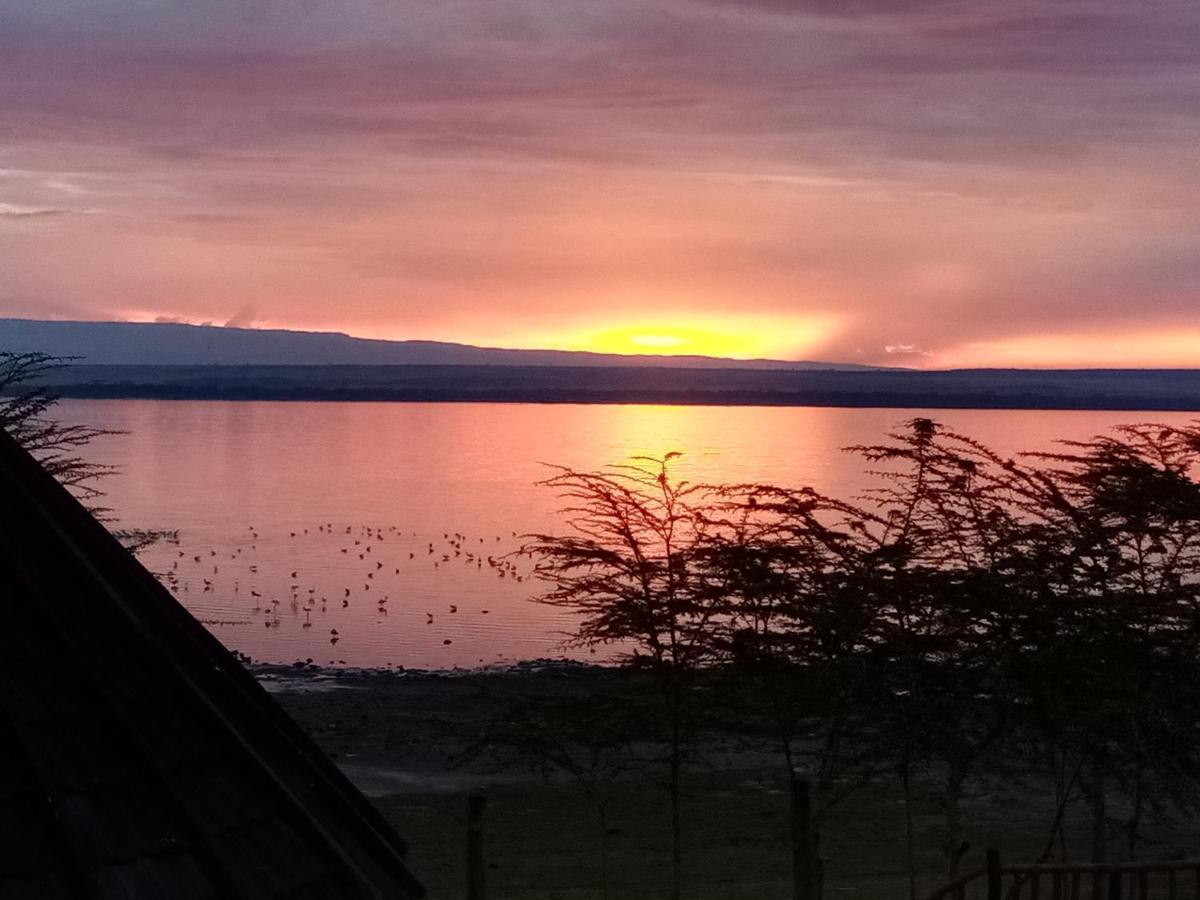 Sirville Lake Elementaita Lodge Gilgil Eksteriør billede
